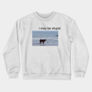 I May Be Stupid shirt | meme T-shirt, funny shirt, gag shirts Crewneck Sweatshirt